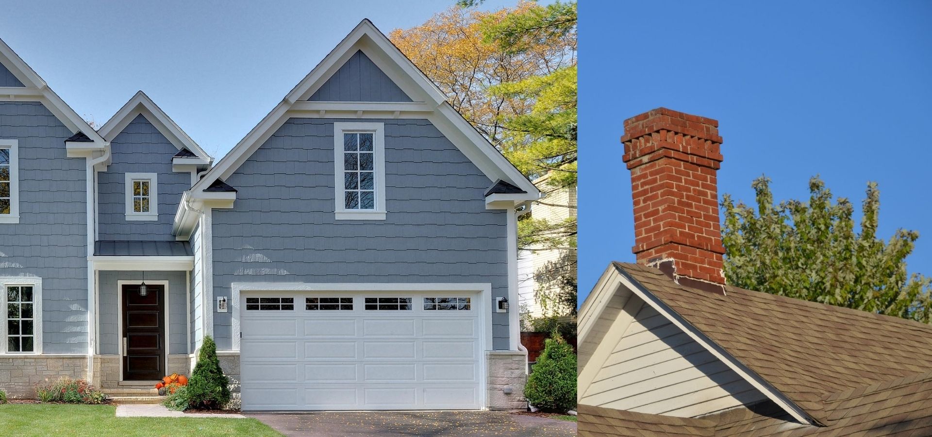 animal control Raleigh NC